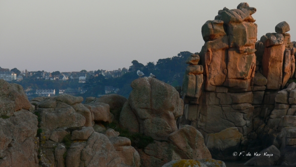 Crepuscule a Ploumanach (9)